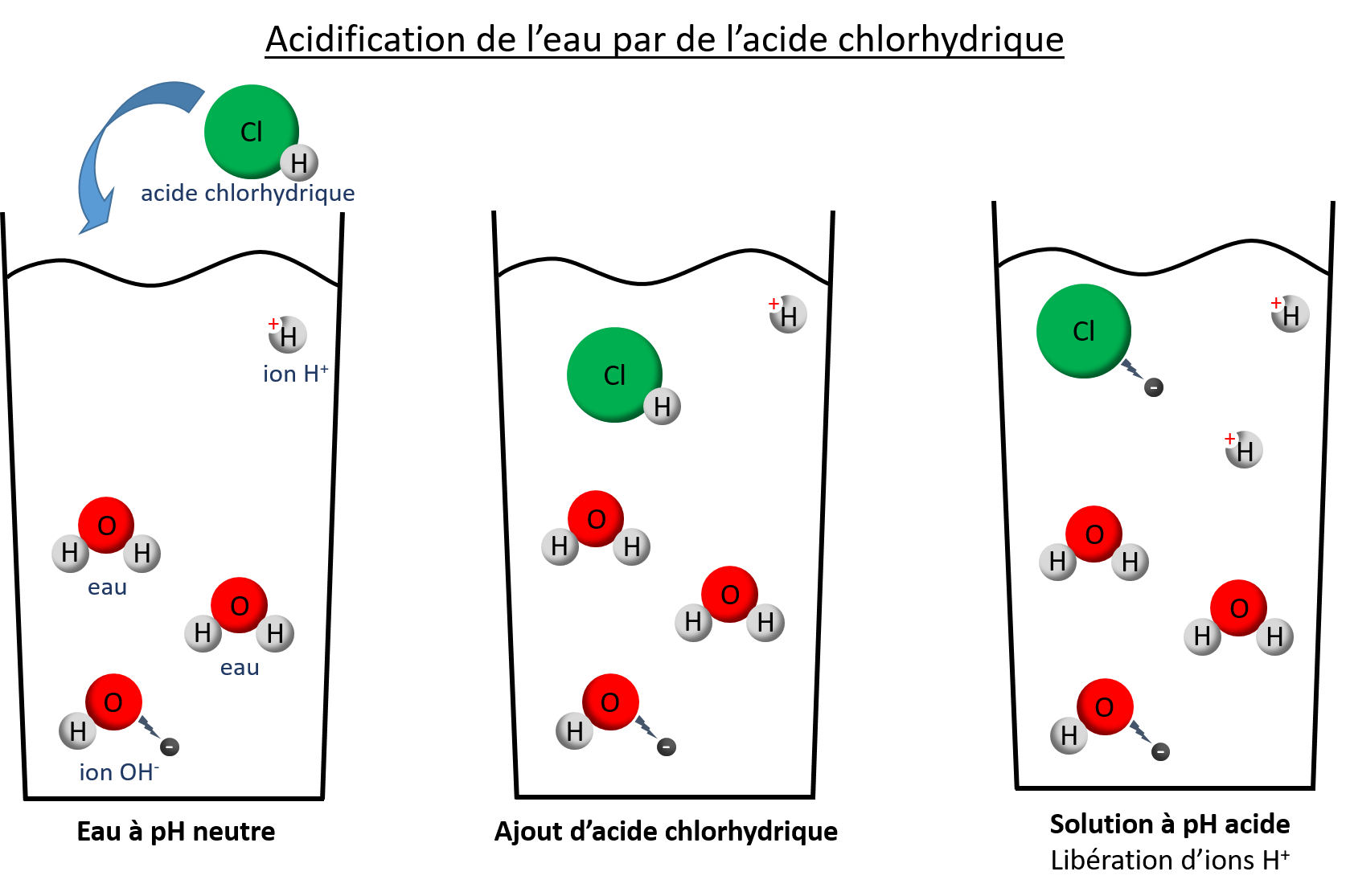 Tout Comprendre Sur Le Ph Plantophage