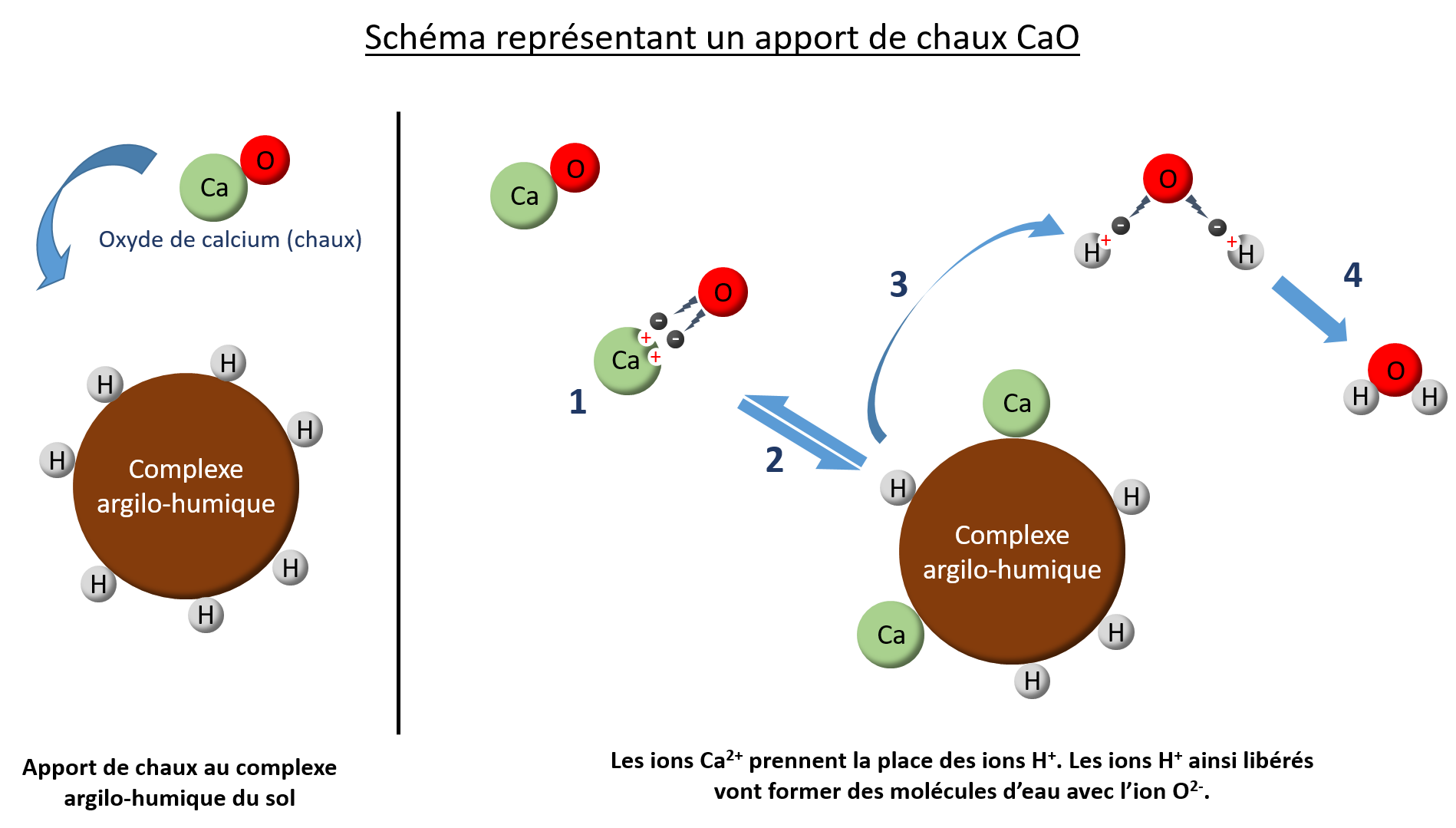 Tout Comprendre Sur Le PH - Plantophage